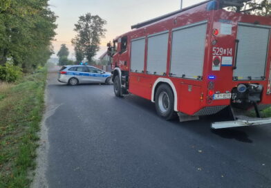 Przy jednej z dróg w powiecie ryckim odnaleziono zwłoki mężczyzny